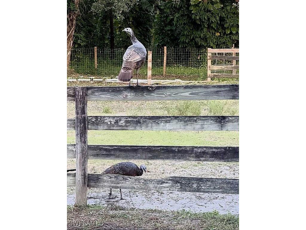 23261 Tuckahoe Road Alva FL 33920 225083062 image18