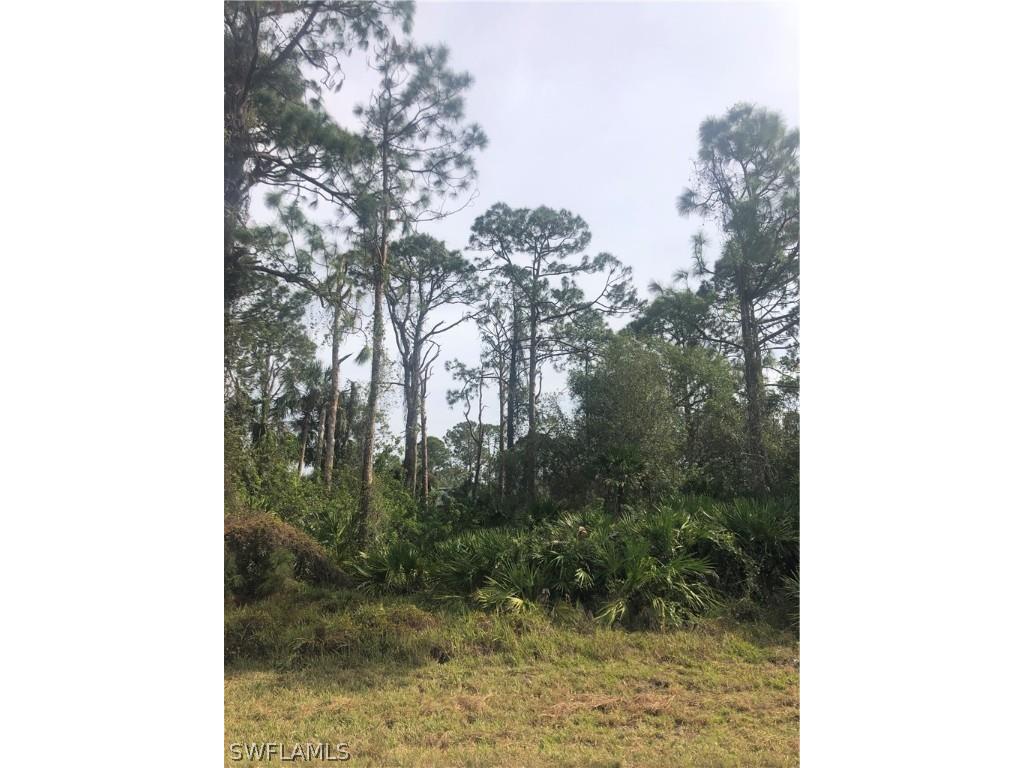 233 Pinola Avenue S Lehigh Acres FL 33974 223005500 image1