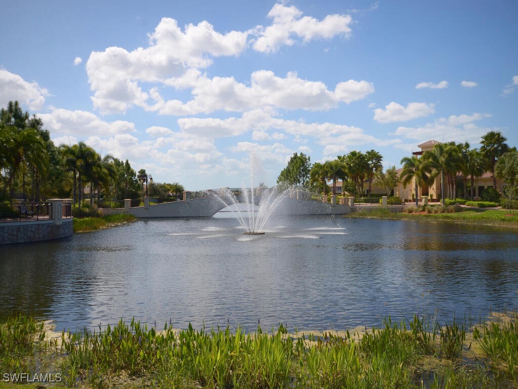 2346 Butterfly Palm Drive Naples FL 34119 225078843 image20