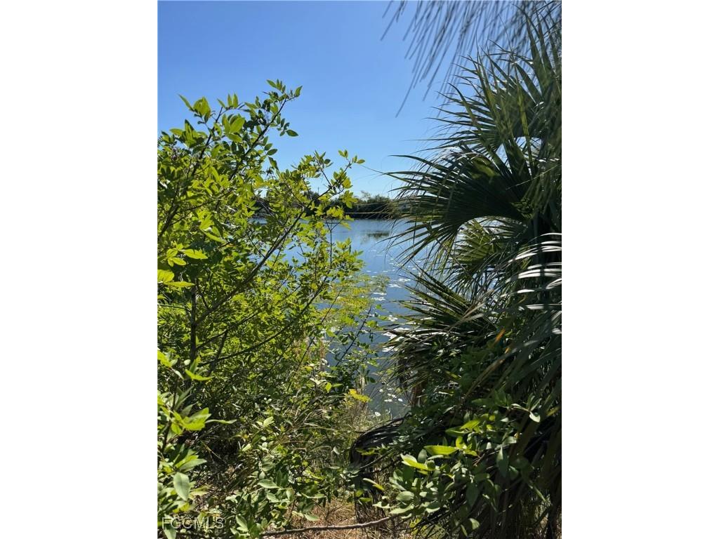 2346 NE 19th Place Cape Coral FL 33909 2025020581 image6