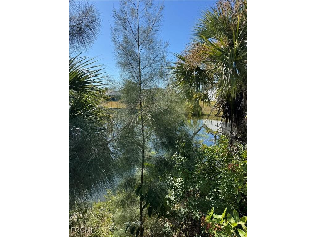 2346 NE 19th Place Cape Coral FL 33909 2025020581 image7