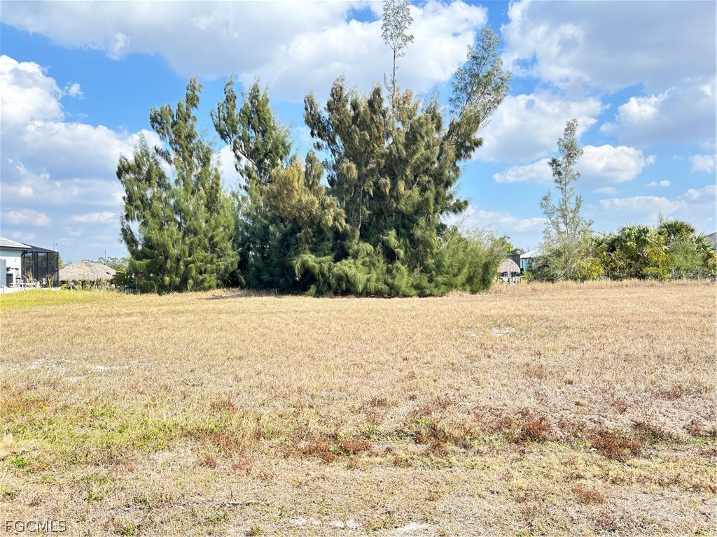 2347 NW 38th Avenue Cape Coral FL 33993 2026008061 image1