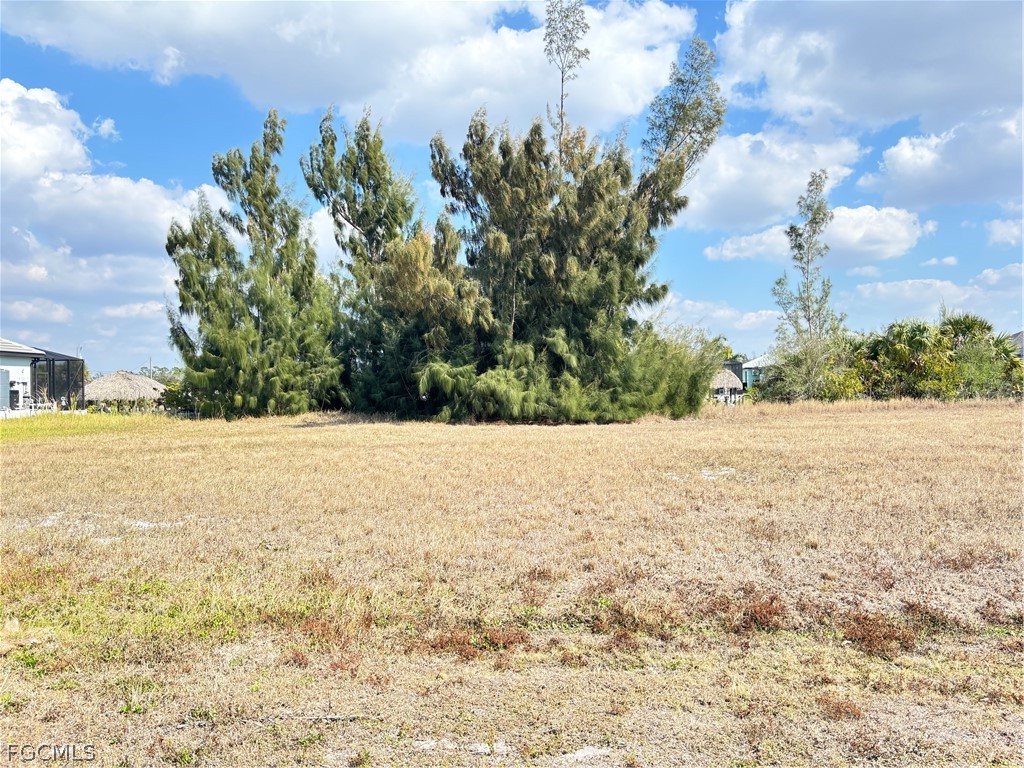 2347 NW 38th Avenue Cape Coral FL 33993 2026008061 image2