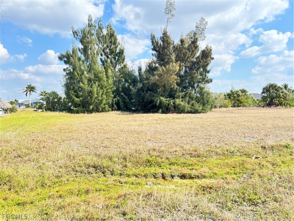 2347 NW 38th Avenue Cape Coral FL 33993 2026008061 image3