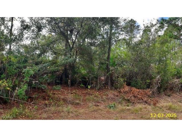 23475 Moses Court Punta Gorda FL 33980 2025024895 image2