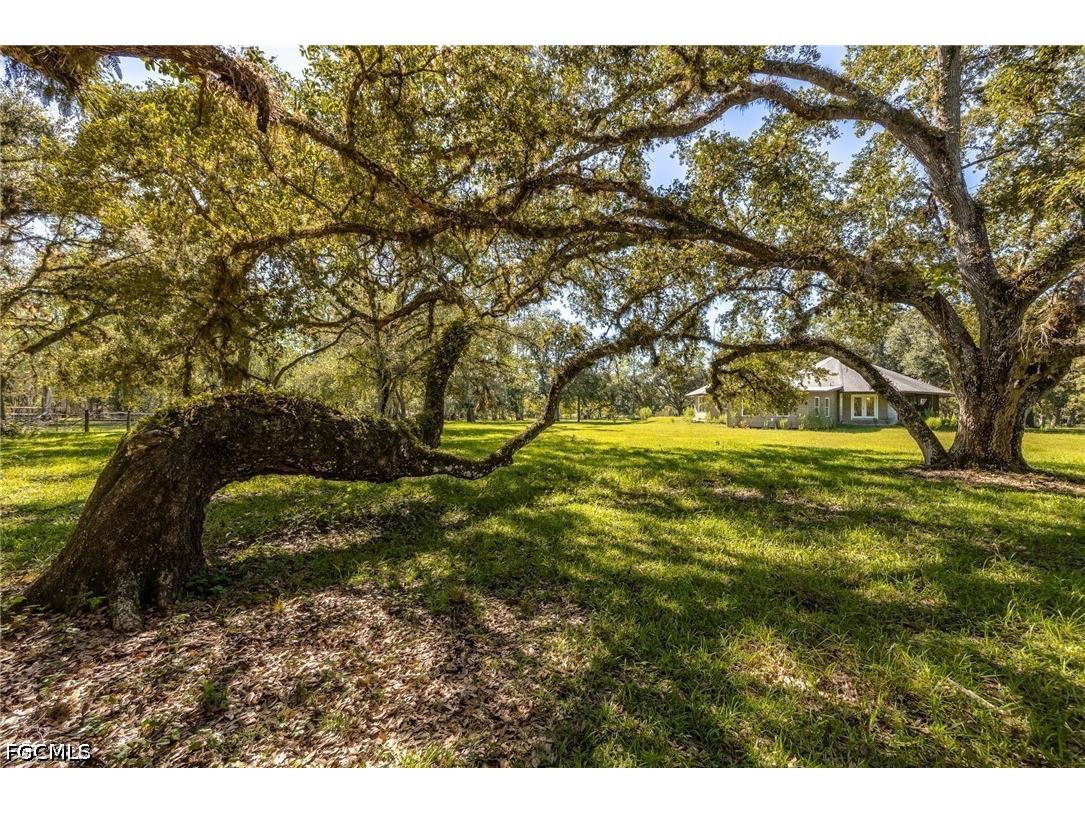 2348 Nine Mile Road Labelle FL 33935 2026017997 image35