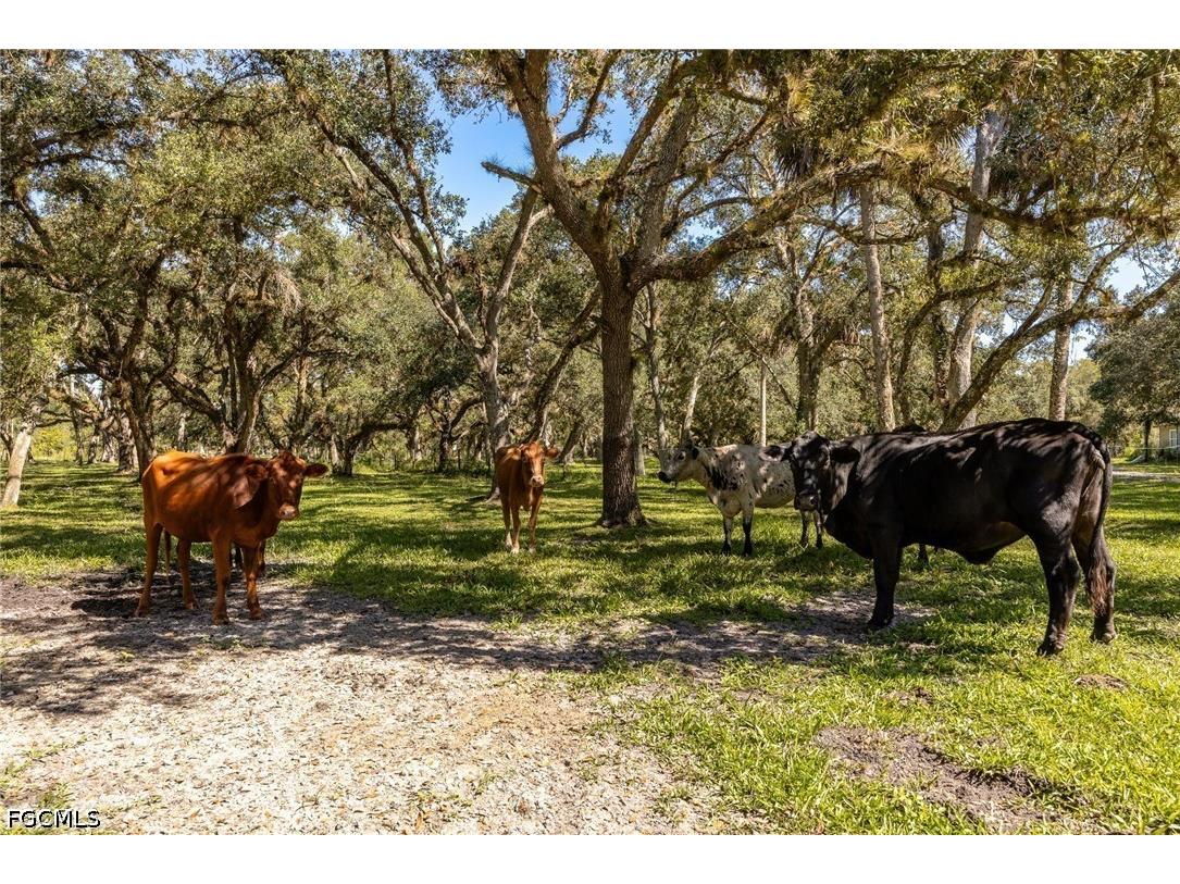 2348 Nine Mile Road Labelle FL 33935 2026017997 image44
