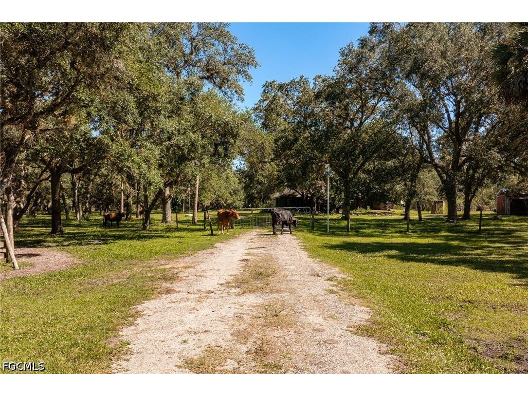 2348 Nine Mile Road Labelle FL 33935 2026017997 image6