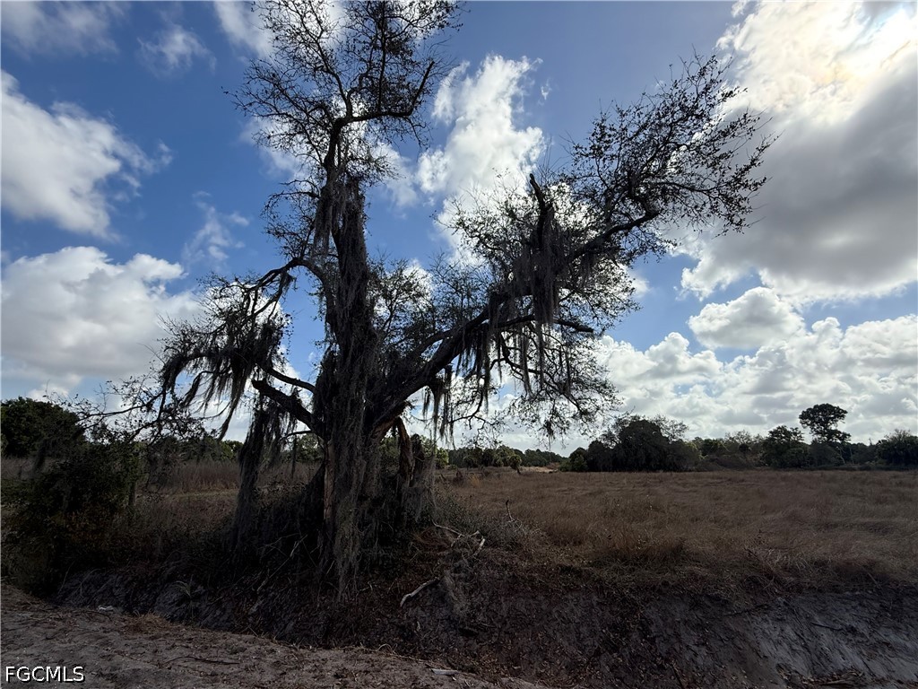 235 & 225 S Arboleda Street Clewiston FL 33440 2026021228 image7