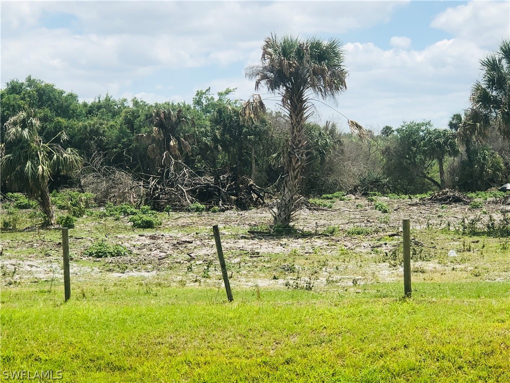 23590 Palm Beach Boulevard Alva FL 33920 224046495 image4