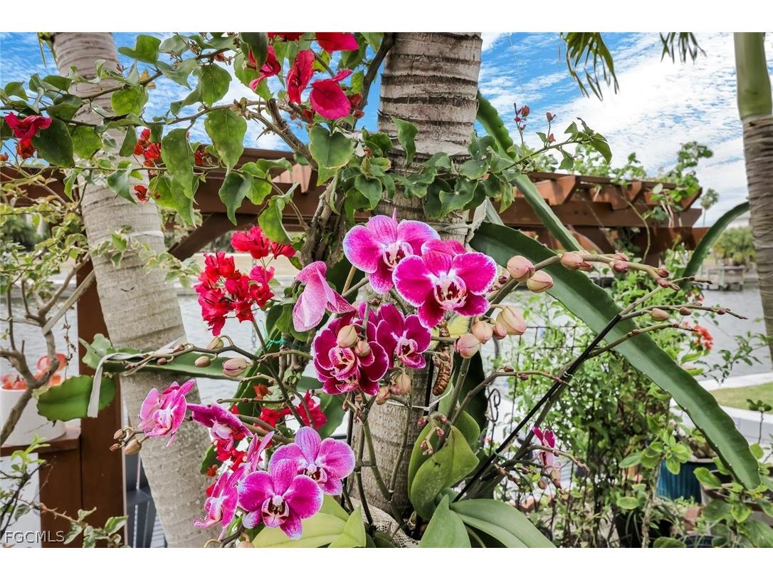 2364 NW 39th Avenue Cape Coral FL 33993 2026012853 image37