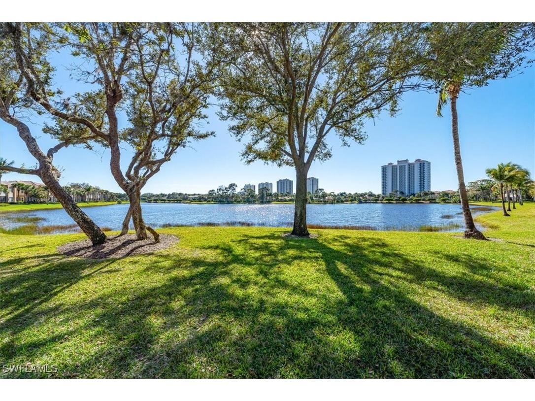 23720 Merano Court #101 Estero FL 34134 225067613 image22