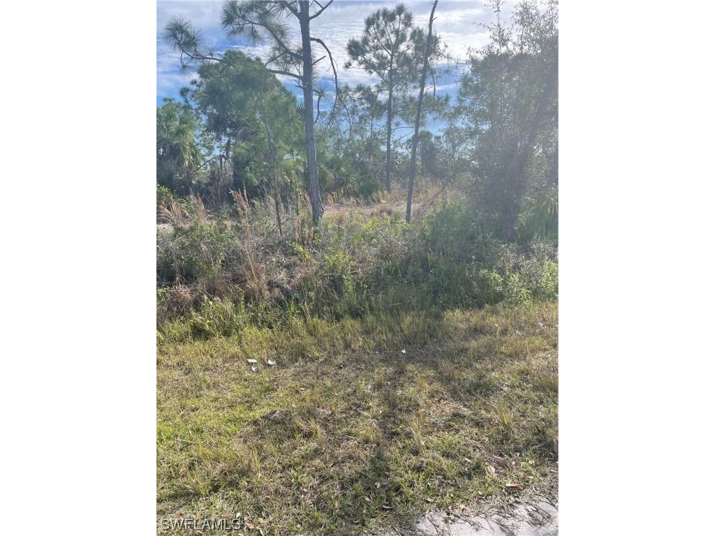 2374 Mckaig Street Port Charlotte FL 33953 224010059 image1