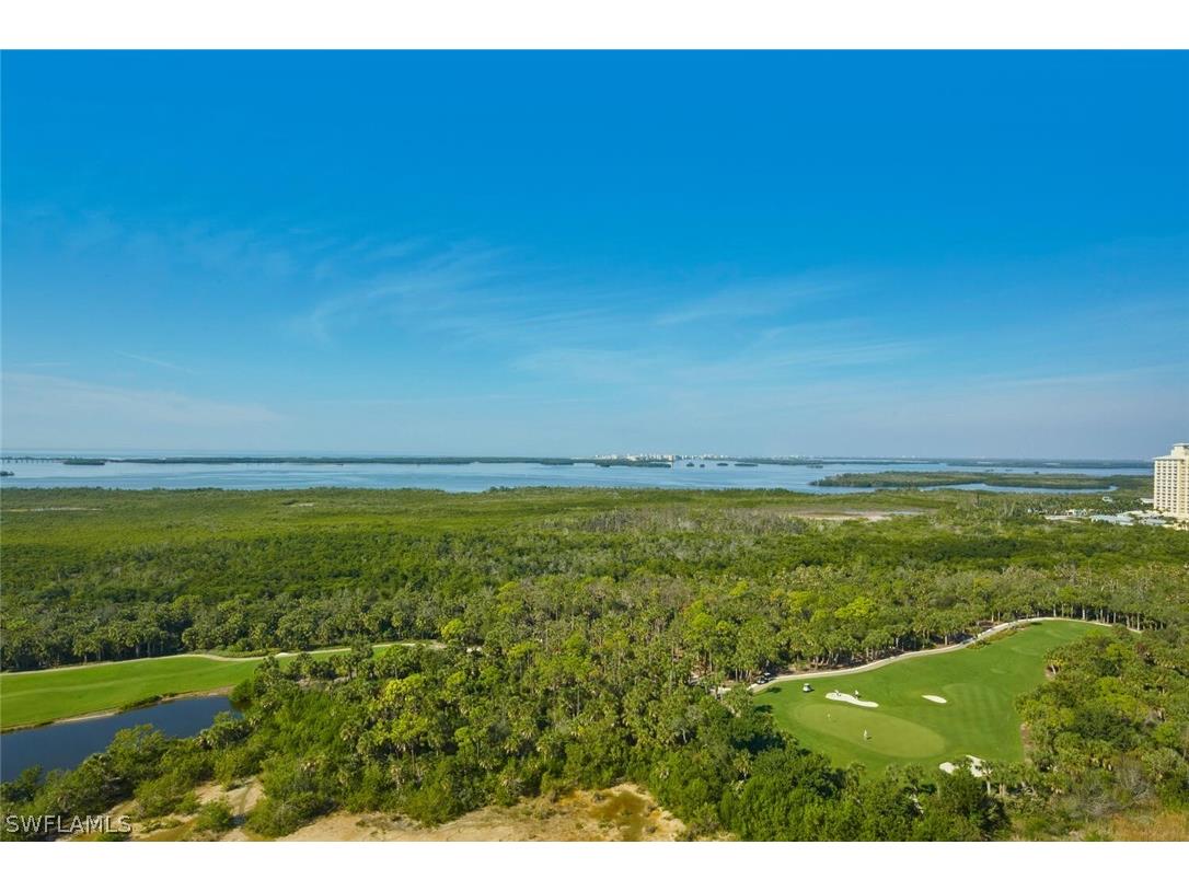 23750 Via Trevi Way #1801 Estero FL 34134 226010785 image24