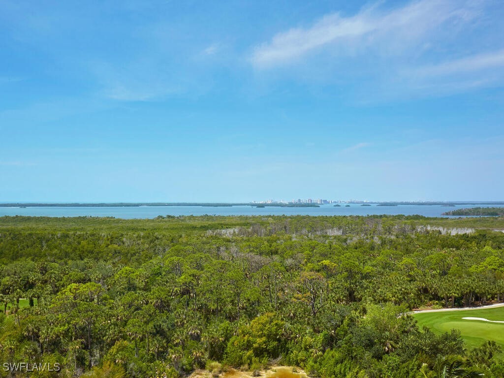 23750 Via Trevi Way #901 Estero FL 34134 225066270 image21