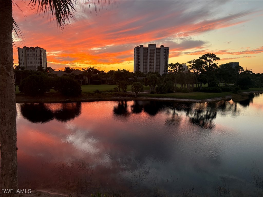 23780 Merano Court #201 Estero FL 34134 225080489 image31