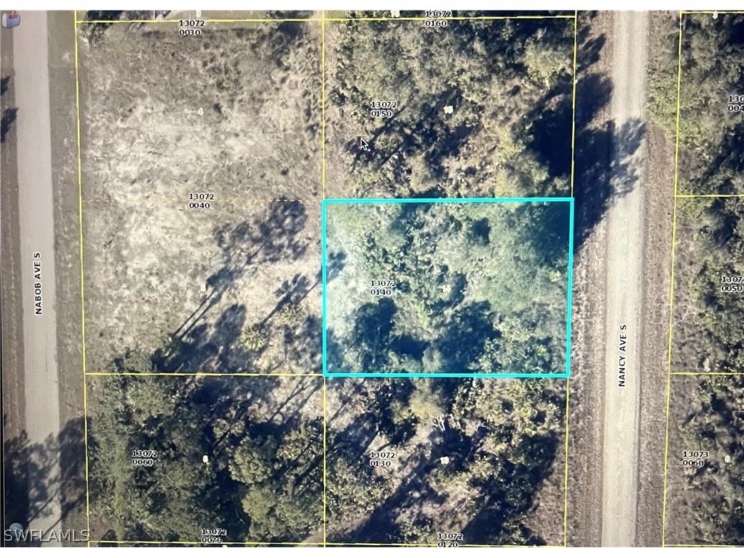 238 Nancy Avenue S Lehigh Acres FL 33974 224033268 image1