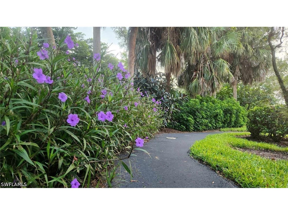 23821 Marbella Bay Road #102 Estero FL 34135 226014747 image29