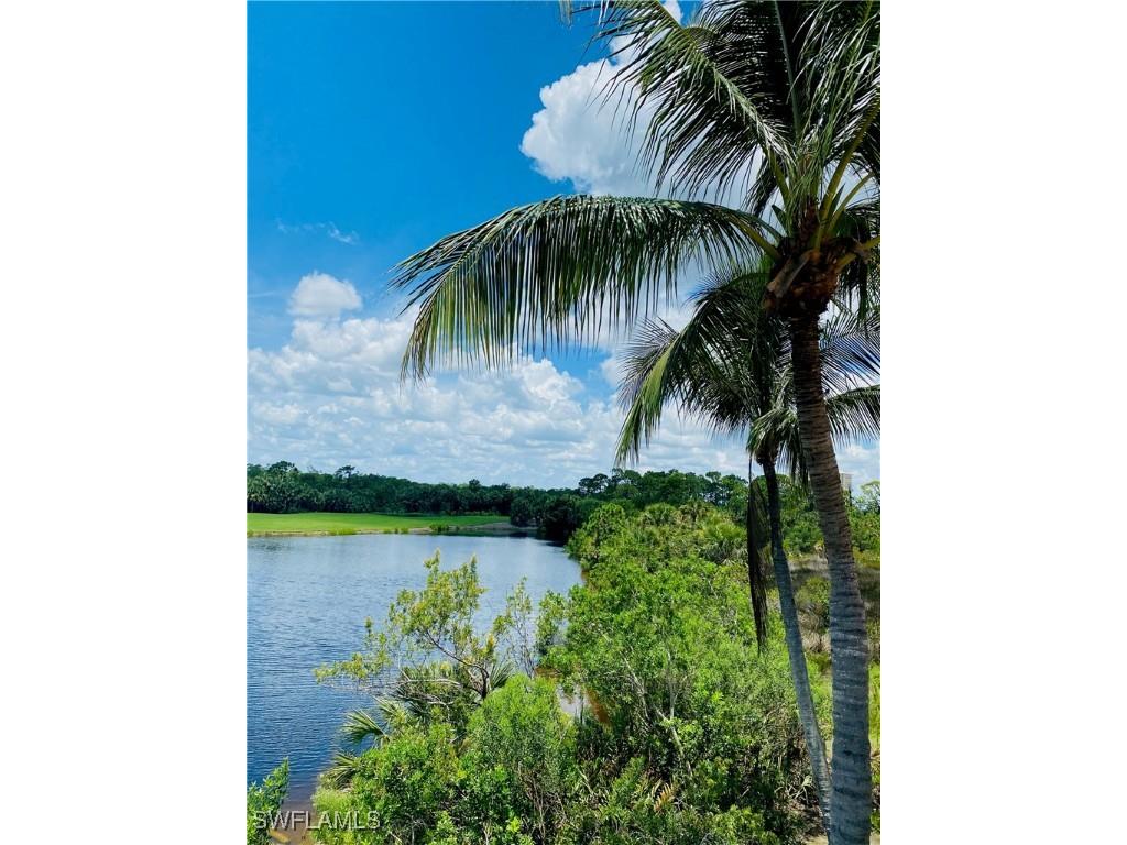 23850 Via Italia Circle #1601 Estero FL 34134 225056486 image32