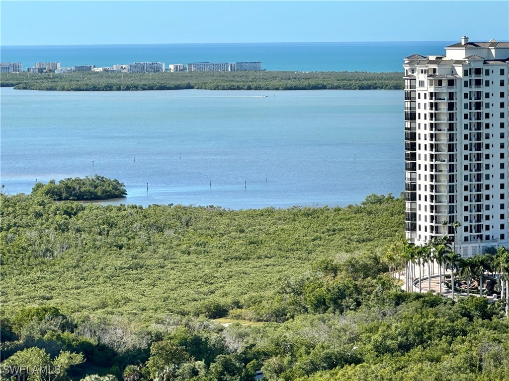 23850 Via Italia Circle #1601 Estero FL 34134 225056486 image44