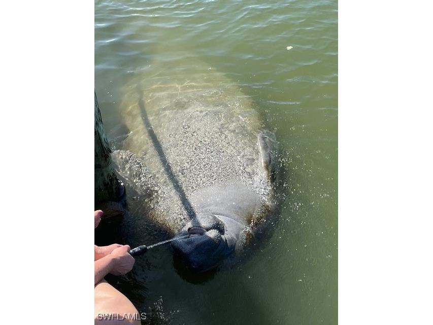 239 Ibis Street Fort Myers Beach FL 33931 225004554 image40