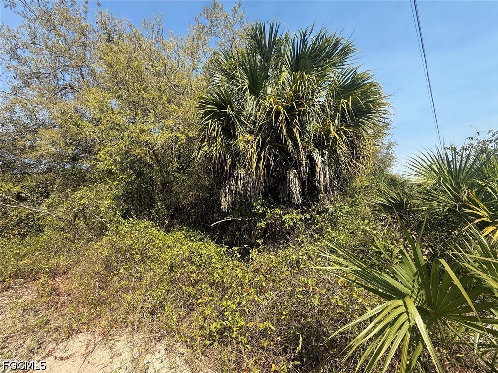 240 S Estribo Street Clewiston FL 33440 2026023364 image4