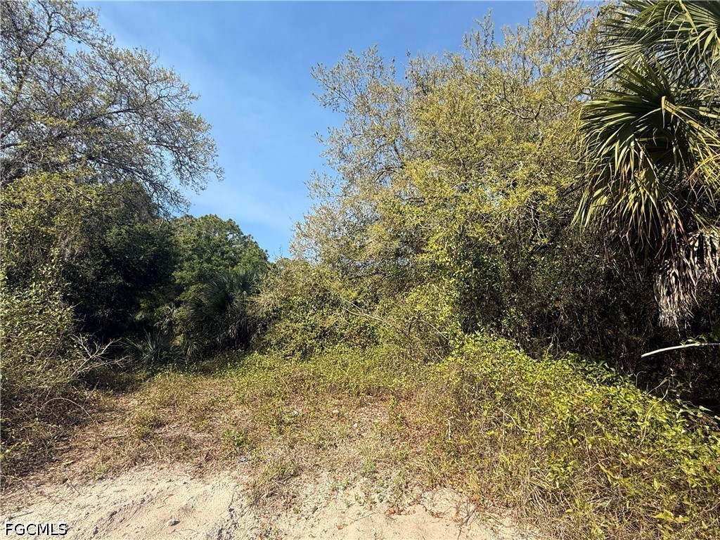 240 S Estribo Street Clewiston FL 33440 2026023364 image5