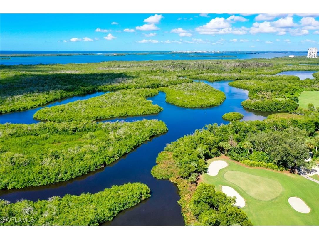 24001 Via Castella Drive #3403 Bonita Springs FL 34134 225079150 image48