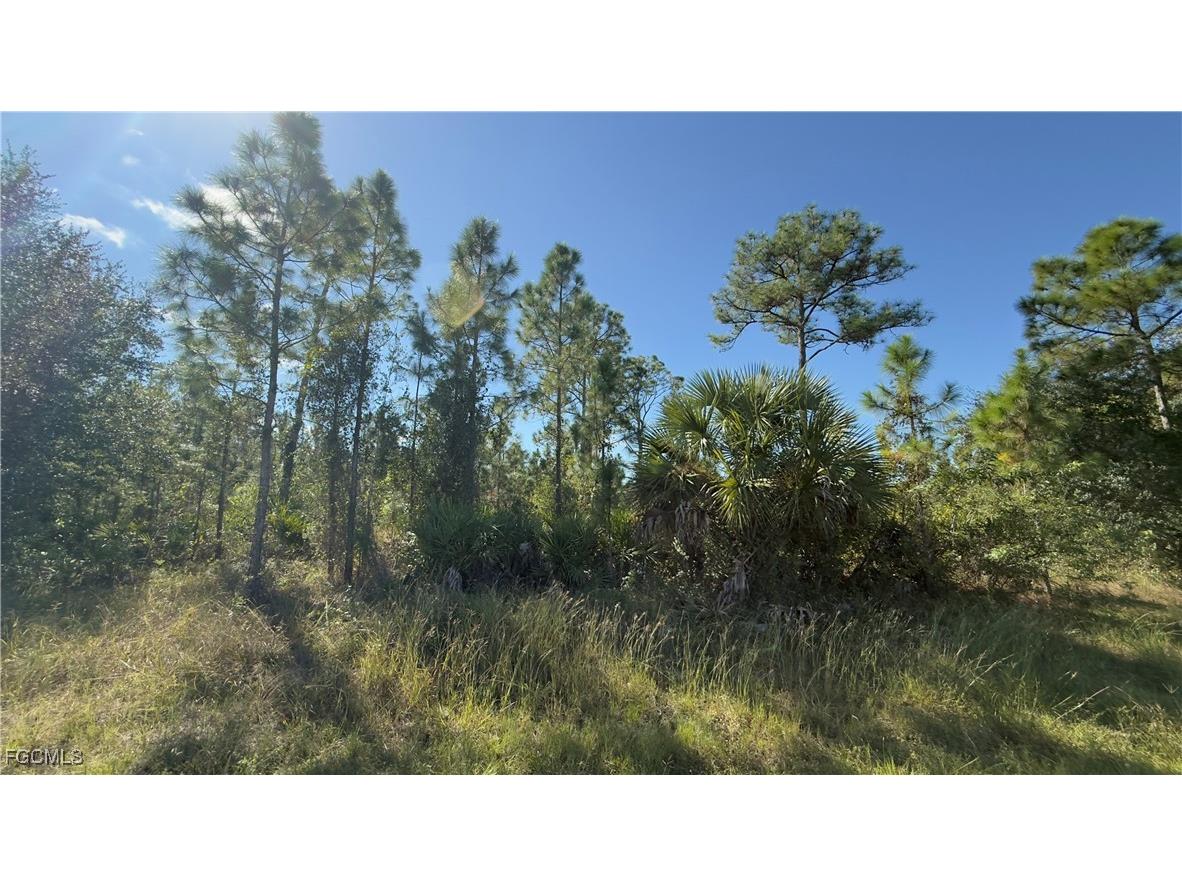 2402 E 10th Street Lehigh Acres FL 33936 2025018245 image1