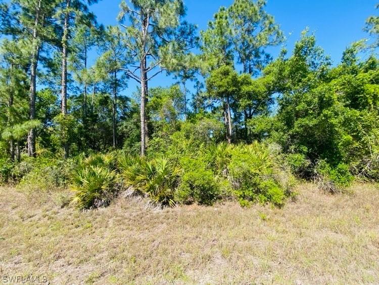 2405 Louis Avenue Alva FL 33920 224031748 image1