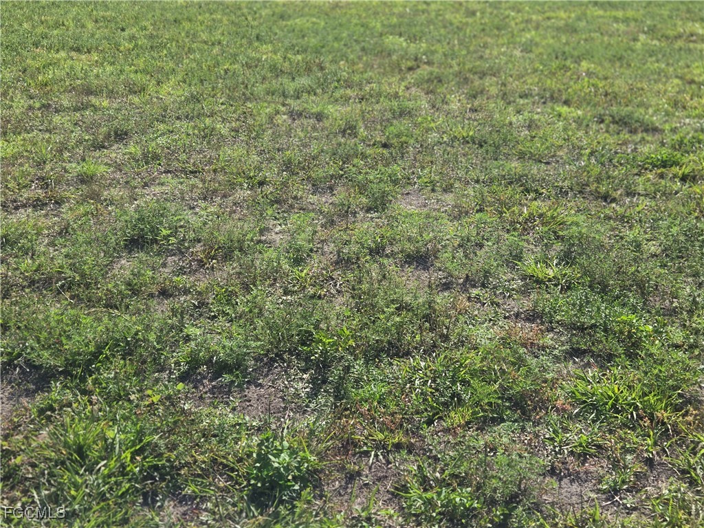 2405 NW 7th Avenue Cape Coral FL 33993 2025003214 image3