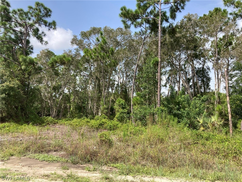 2406 Meadow Road Lehigh Acres FL 33974 221064501 image2