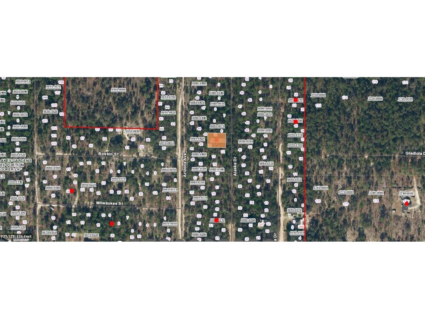 241 Alaska Drive Hawthorne FL 32640 2025018049 image3