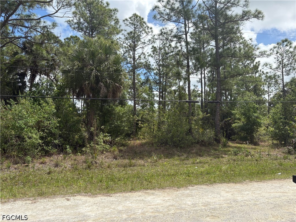 241 Thornton Avenue S Lehigh Acres FL 33974 2026016490 image1