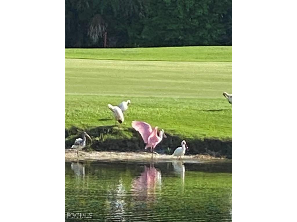 2417 Wulfert Road Sanibel FL 33957 2025022477 image50