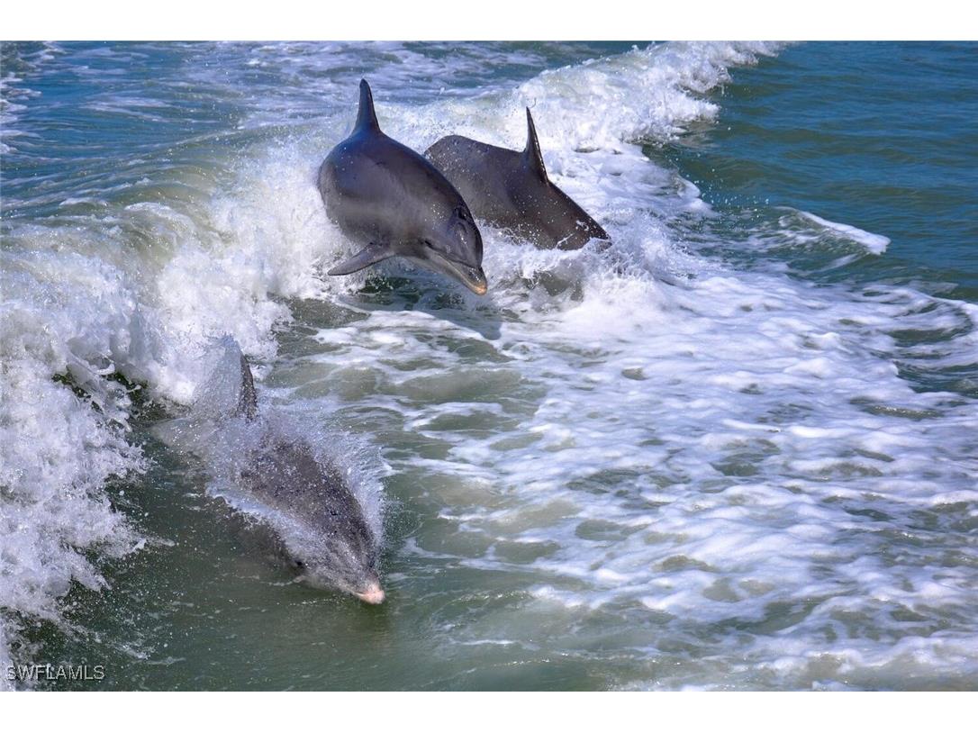 242 Newport Drive #504 Naples FL 34114 225042110 image39