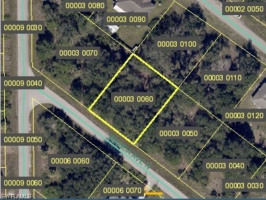 2420-2422 Wanda Avenue N Lehigh Acres FL 33971 223031444 image1