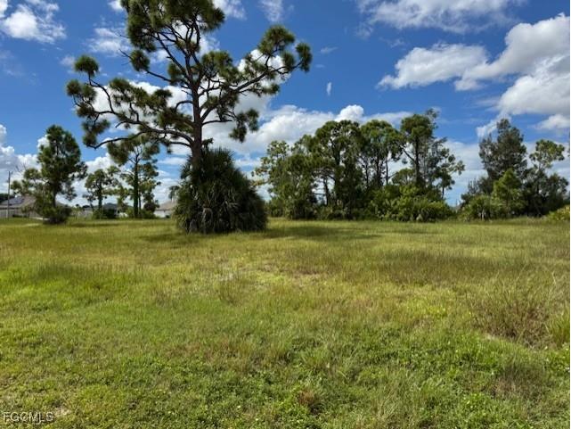 2426 NW 18th Place Cape Coral FL 33993 2025014429 image2