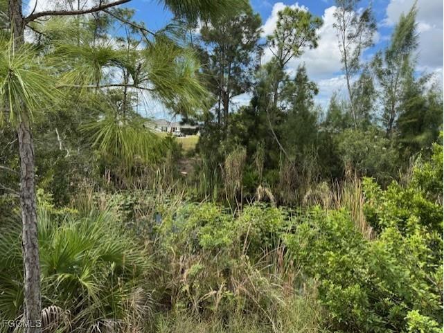 2426 NW 18th Place Cape Coral FL 33993 2025014429 image4