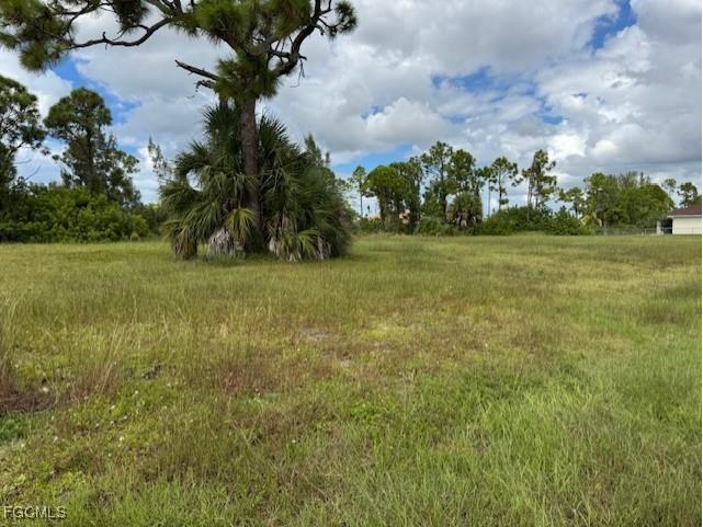 2426 NW 18th Place Cape Coral FL 33993 2025014429 image6