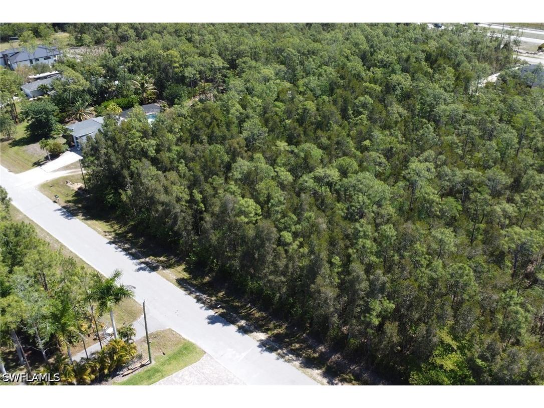 24265 Roger Dodger Street Bonita Springs FL 34135 226016789 image18