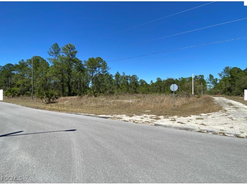 2429 Jetridge Street Alva FL 33920 2025004070 image1