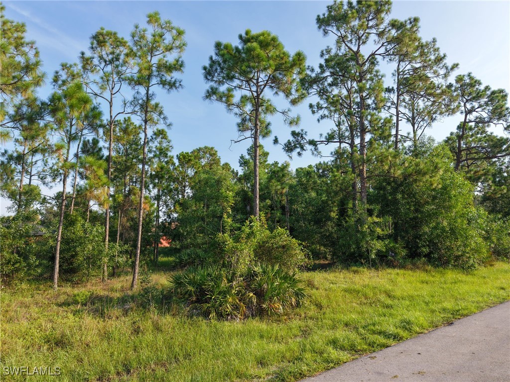 2430 Lola Avenue S Lehigh Acres FL 33973 225065762 image11