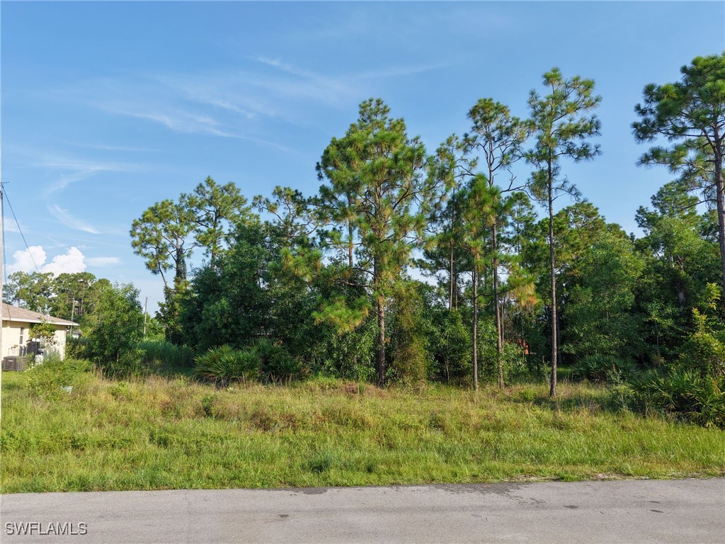 2430 Lola Avenue S Lehigh Acres FL 33973 225065762 image12