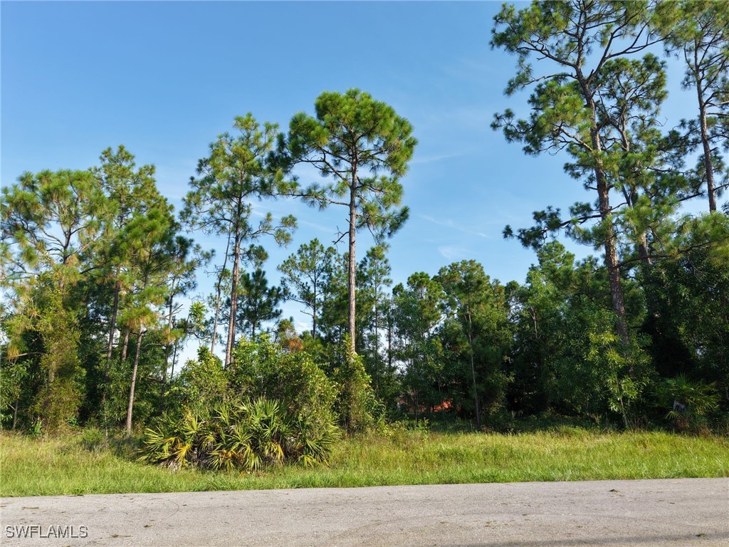 2430 Lola Avenue S Lehigh Acres FL 33973 225065762 image14