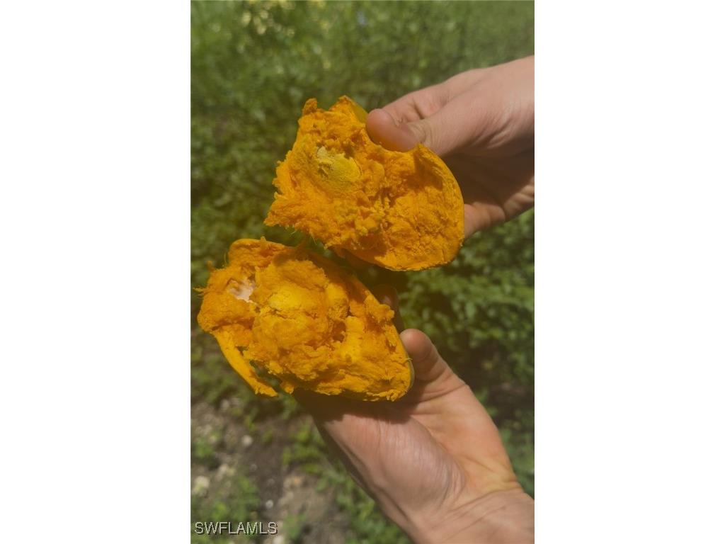 2432 54th Avenue NE Naples FL 34120 225064488 image10