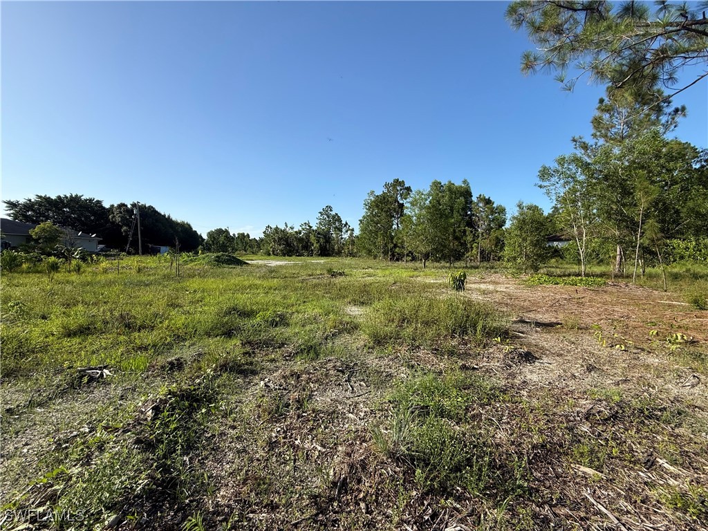 2432 54th Avenue NE Naples FL 34120 225064488 image3