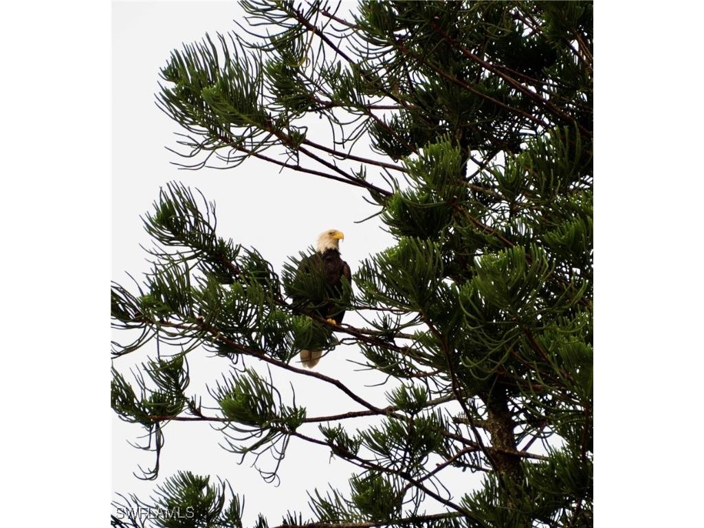 24398 Treasure Island Boulevard Punta Gorda FL 33955 225055191 image43