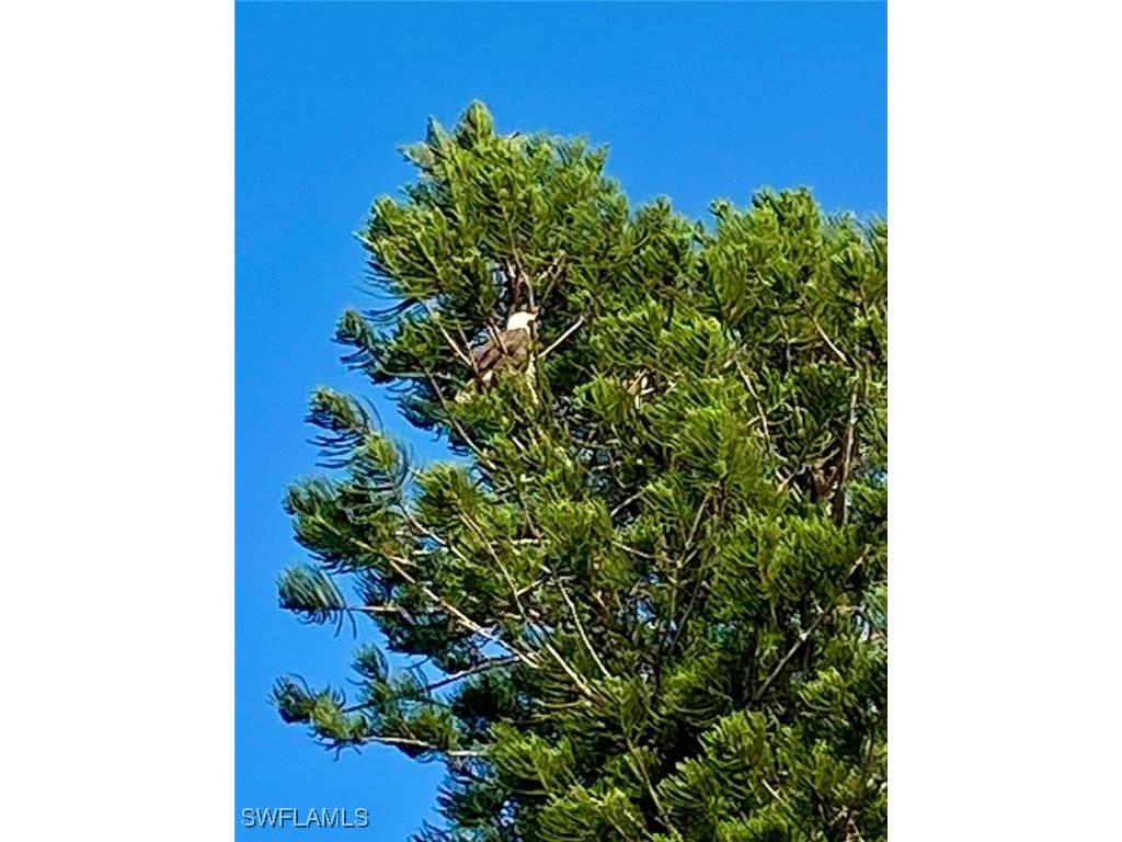 24398 Treasure Island Boulevard Punta Gorda FL 33955 225055191 image45