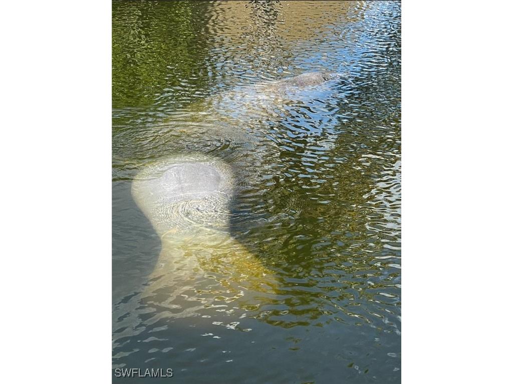 24398 Treasure Island Boulevard Punta Gorda FL 33955 225055191 image46